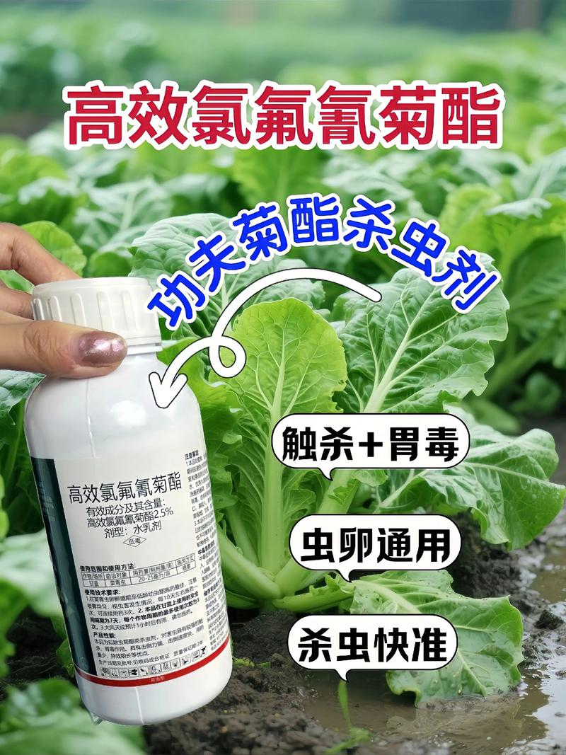 齐齐哈尔代生中心:农药对供卵代生妈妈的危害